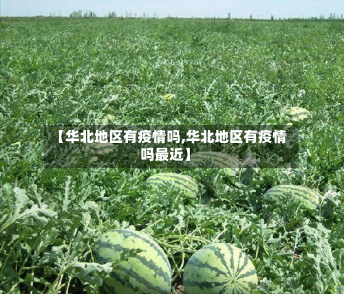 【华北地区有疫情吗,华北地区有疫情吗最近】-第2张图片