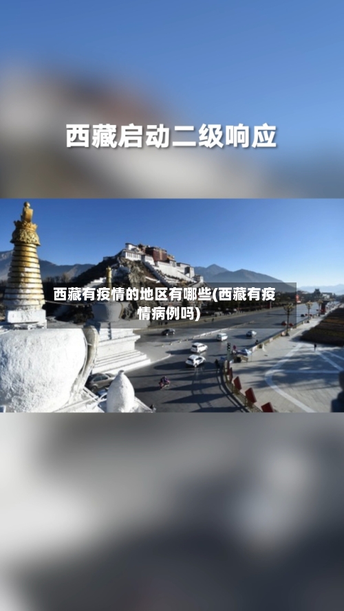 西藏有疫情的地区有哪些(西藏有疫情病例吗)-第2张图片