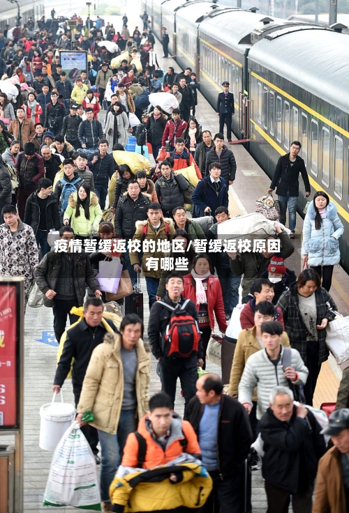 疫情暂缓返校的地区/暂缓返校原因有哪些