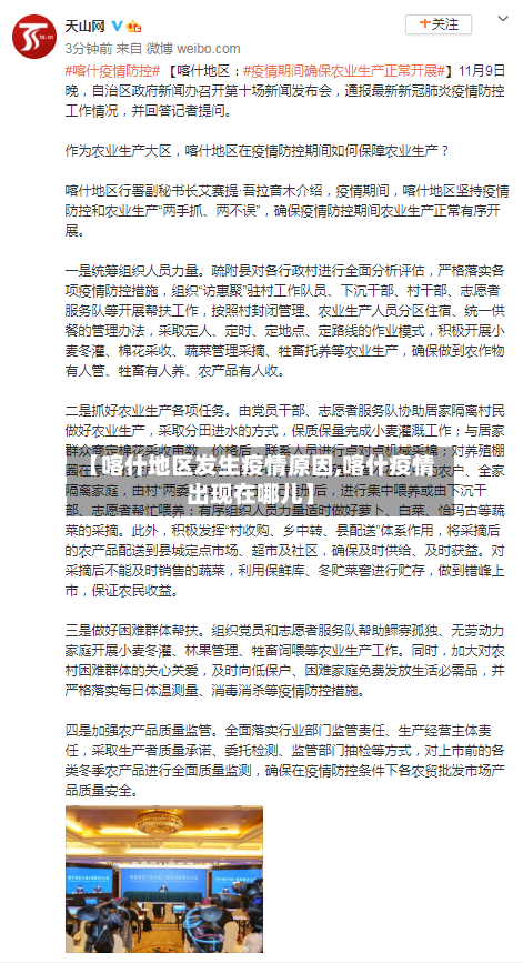 【喀什地区发生疫情原因,喀什疫情出现在哪儿】-第3张图片