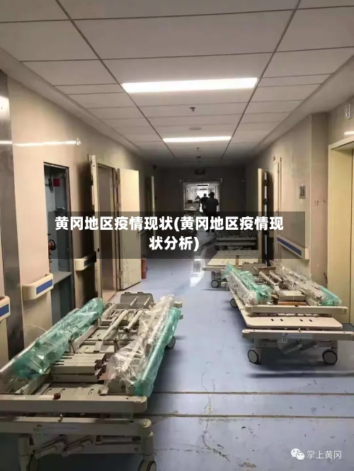 黄冈地区疫情现状(黄冈地区疫情现状分析)