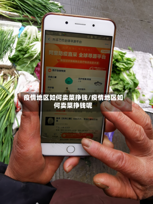 疫情地区如何卖菜挣钱/疫情地区如何卖菜挣钱呢