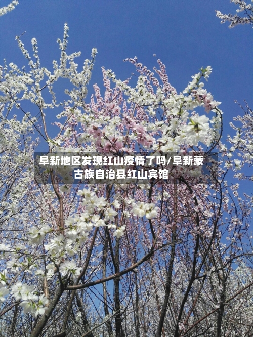 阜新地区发现红山疫情了吗/阜新蒙古族自治县红山宾馆