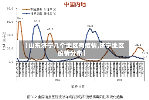 【山东济宁几个地区有疫情,济宁地区疫情分布】