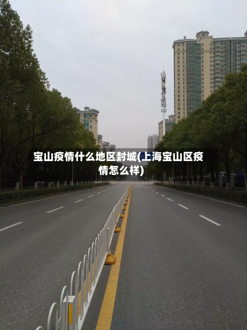 宝山疫情什么地区封城(上海宝山区疫情怎么样)