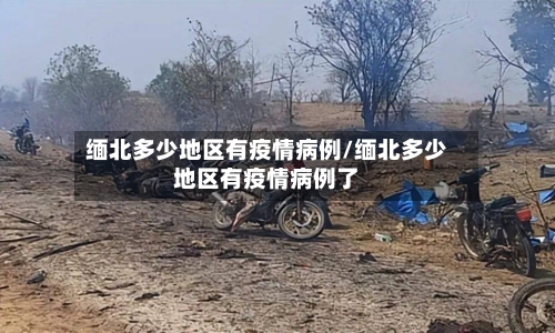 缅北多少地区有疫情病例/缅北多少地区有疫情病例了