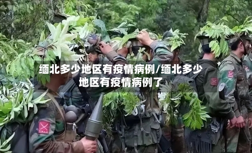 缅北多少地区有疫情病例/缅北多少地区有疫情病例了-第2张图片