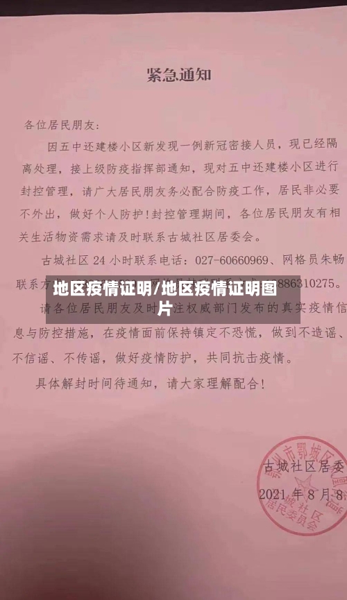 地区疫情证明/地区疫情证明图片