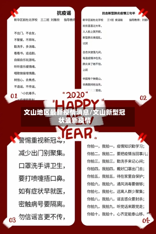 文山地区最新疫情消息/文山新型冠状最新疫情-第2张图片