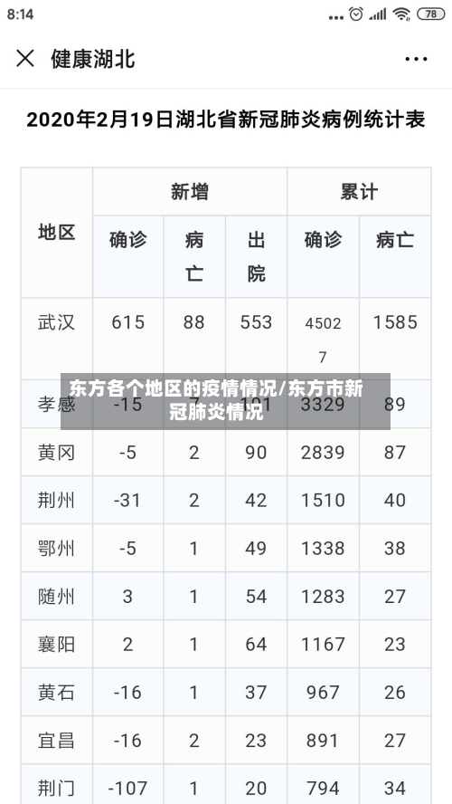 东方各个地区的疫情情况/东方市新冠肺炎情况-第2张图片