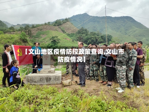 【文山地区疫情防控政策查询,文山市防疫情况】