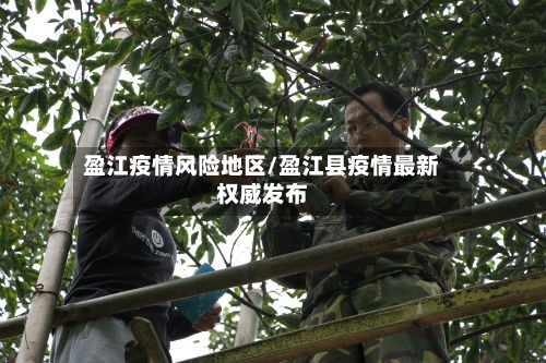 盈江疫情风险地区/盈江县疫情最新权威发布-第3张图片