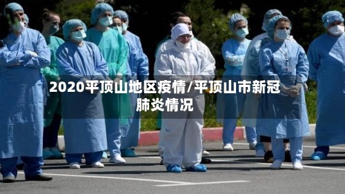 2020平顶山地区疫情/平顶山市新冠肺炎情况
