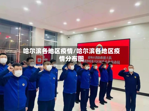 哈尔滨各地区疫情/哈尔滨各地区疫情分布图