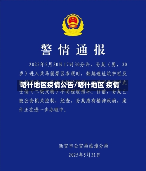 喀什地区疫情公告/喀什地区 疫情-第2张图片