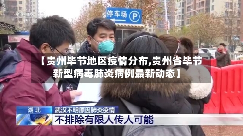 【贵州毕节地区疫情分布,贵州省毕节新型病毒肺炎病例最新动态】-第2张图片