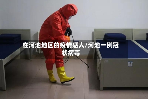 在河池地区的疫情感人/河池一例冠状病毒