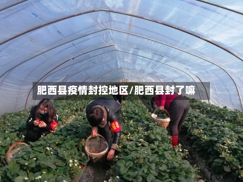 肥西县疫情封控地区/肥西县封了嘛