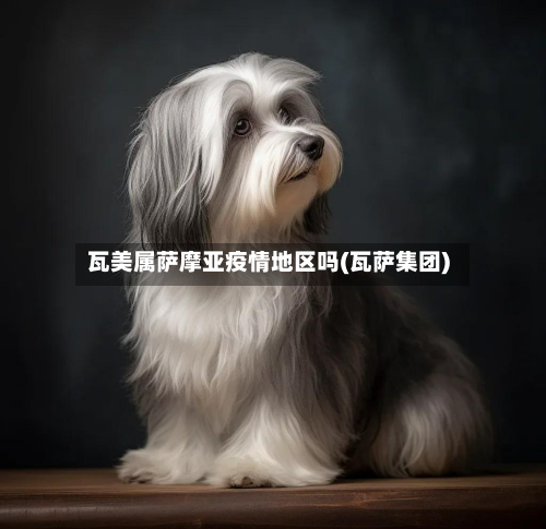 瓦美属萨摩亚疫情地区吗(瓦萨集团)-第2张图片