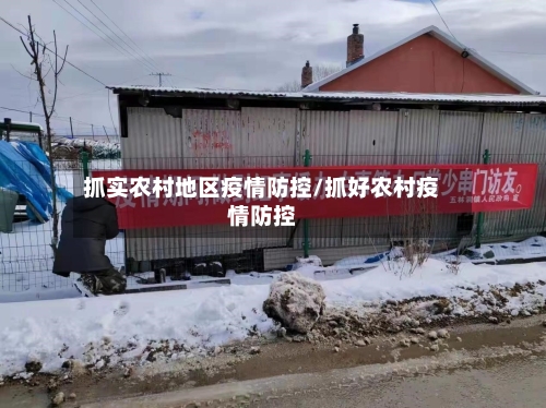 抓实农村地区疫情防控/抓好农村疫情防控