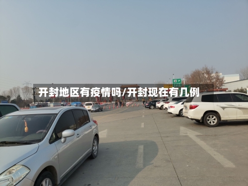 开封地区有疫情吗/开封现在有几例