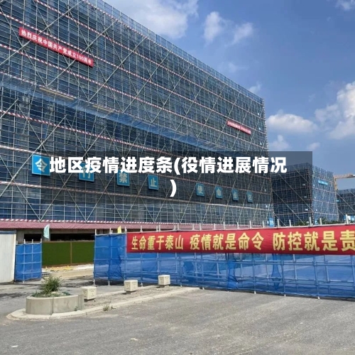 地区疫情进度条(役情进展情况)-第2张图片