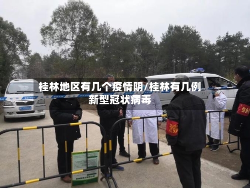 桂林地区有几个疫情阴/桂林有几例新型冠状病毒-第2张图片