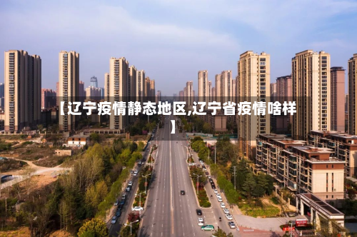 【辽宁疫情静态地区,辽宁省疫情啥样】