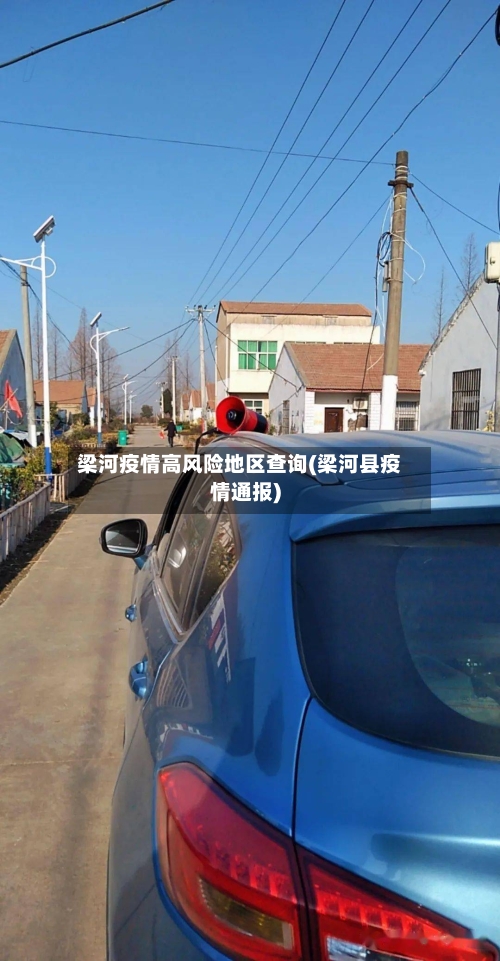 梁河疫情高风险地区查询(梁河县疫情通报)-第2张图片