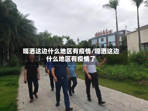 嘎洒这边什么地区有疫情/嘎洒这边什么地区有疫情了