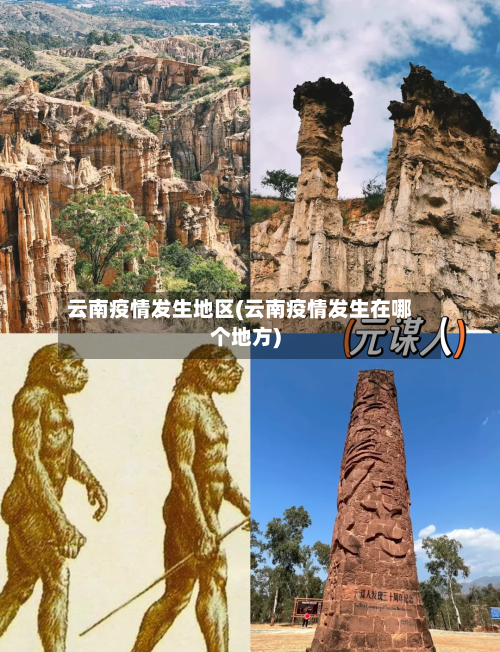 云南疫情发生地区(云南疫情发生在哪个地方)
