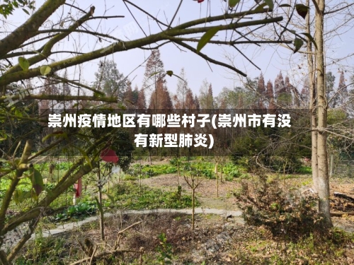 崇州疫情地区有哪些村子(崇州市有没有新型肺炎)-第2张图片