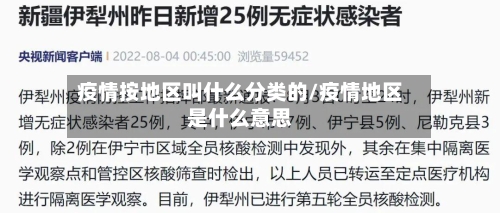 疫情按地区叫什么分类的/疫情地区是什么意思-第2张图片