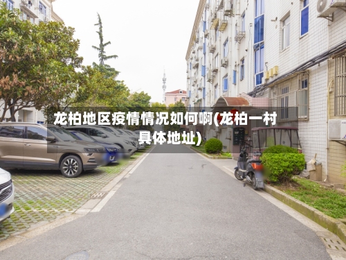 龙柏地区疫情情况如何啊(龙柏一村具体地址)-第2张图片