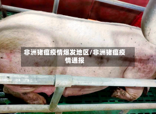 非洲猪瘟疫情爆发地区/非洲猪瘟疫情通报