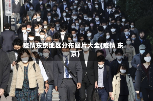 疫情东京地区分布图片大全(疫情 东京)-第2张图片